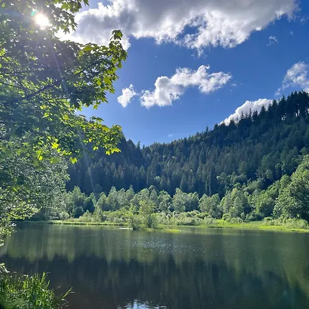Appartement Stoeckerkopfblick Baiersbronn
