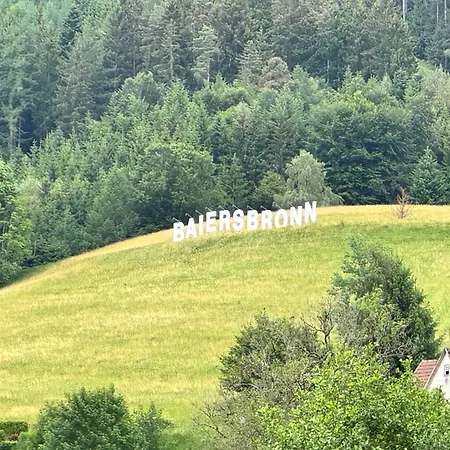 Stoeckerkopfblick Appartement