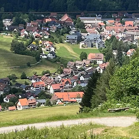 Stoeckerkopfblick Appartement Baiersbronn